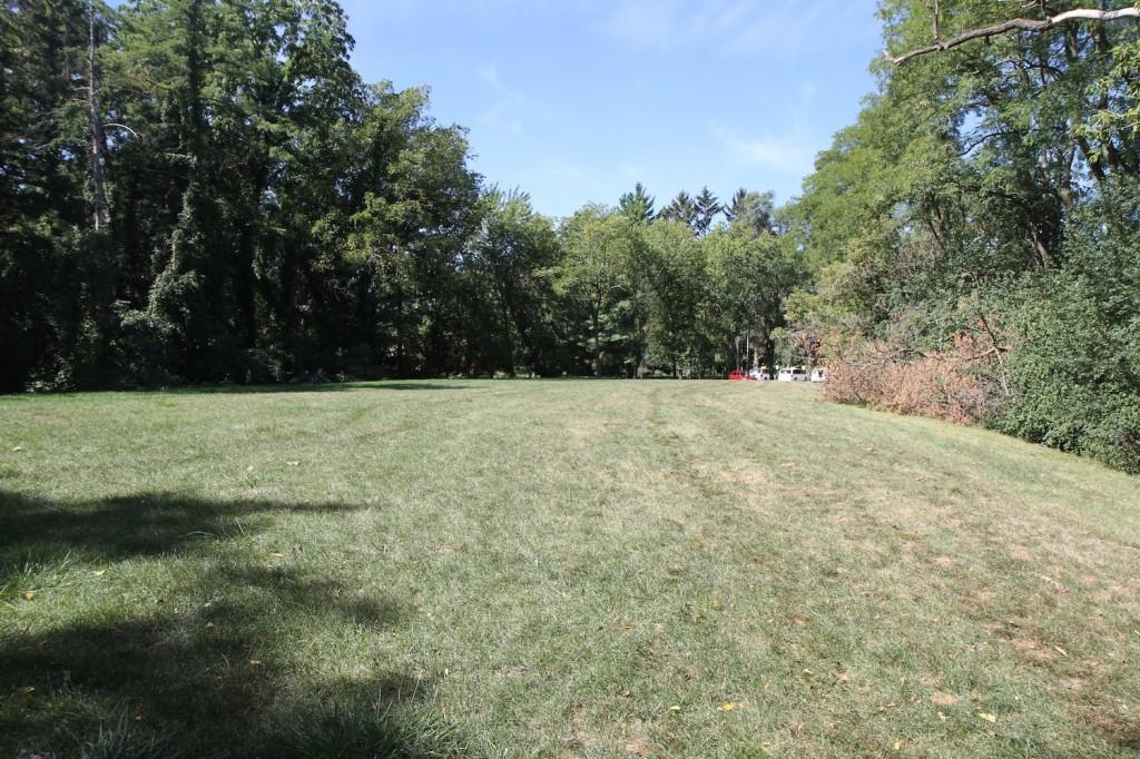 This field, behind the softball field and near the faculty parking lot, would provide enough space for a new aquatic facility.