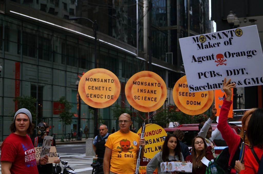 Protesters rally at the October 12 March Against Monsanto in Chicago