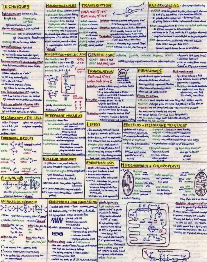 This is an example of how education is filled with memorization, since many science classes allow students to write formulas down for the final.