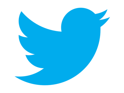 The Twitter bird flying with its beak slightly open.