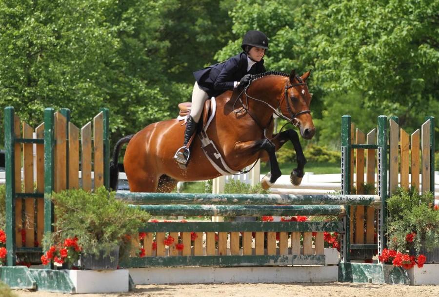 Junior Nicole Dorcy competing with her horse My Dear Watson during one of many competitions. 