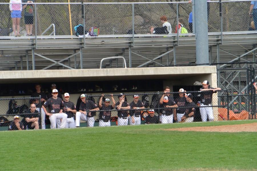 Libertyville's Pastime