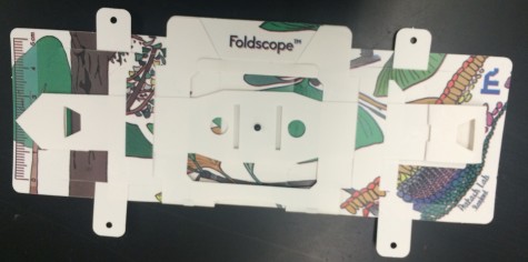 The type of Foldscope tested in Mrs. Gong's class.