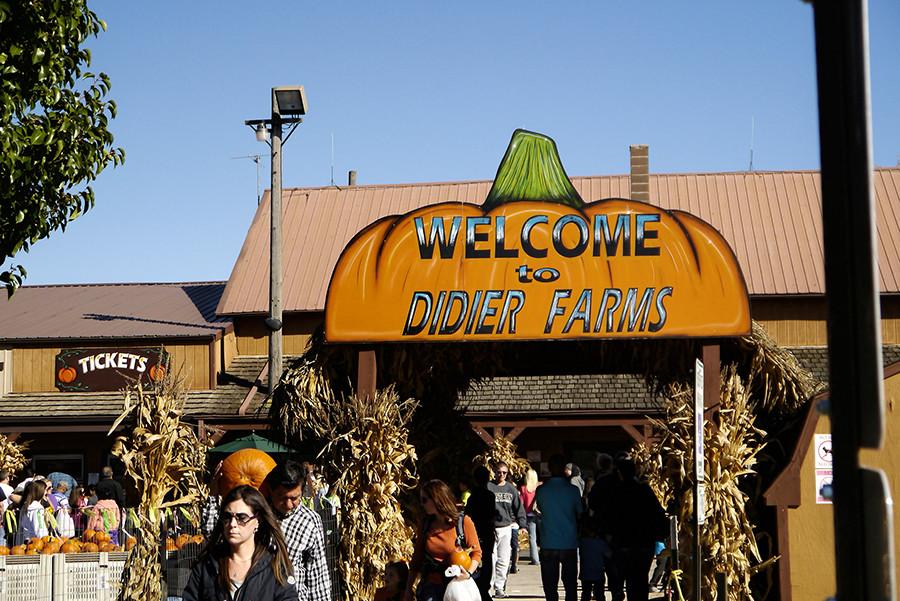 Didier Farms offers a "Farmstand," which includes a variety of fresh produce and currently has its annual "Pumpkinfest," which can be a great, free way to get outside. 