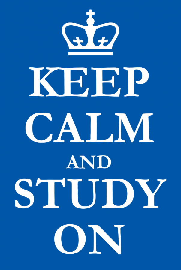 Junior year can be stressful and distractions occur, but focusing is the best way to combat Junioritis.