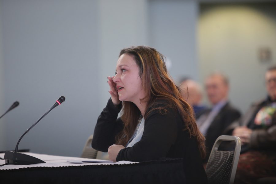 LeeAnne Walters, a resident of Flint, MI spoke at the Joint Committee on the Flint Water Public Health Emergency on Mar. 29, 2016.