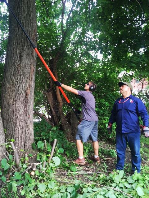 Libertyville Sophomore David Serrecchia developed his own landscaping business, Davids Landscaping.