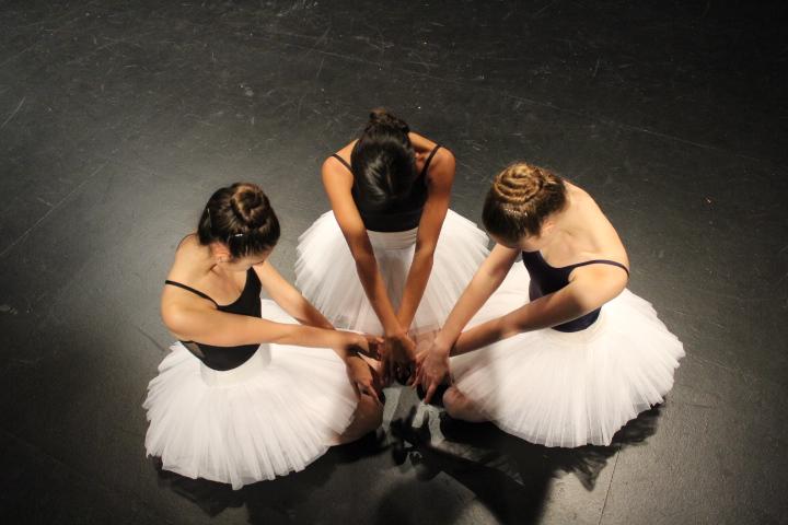 From left to right--Katie Waldvogel (sophomore), Priyana Acharya (junior), and Sarah Mateer (senior).