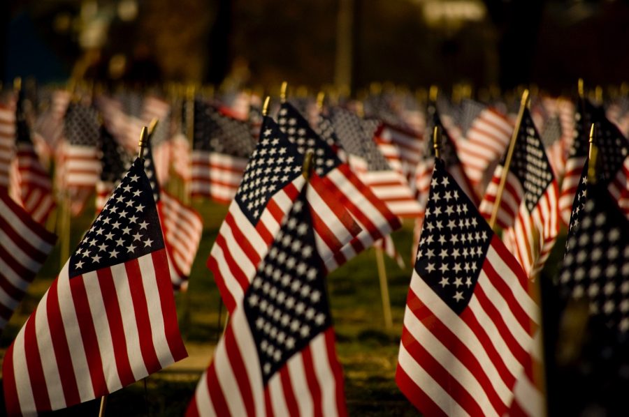 On Nov. 10, 2016 the social studies will be honoring Veterans Day by showing a video recognizing veterans that are special to the people of LHS.