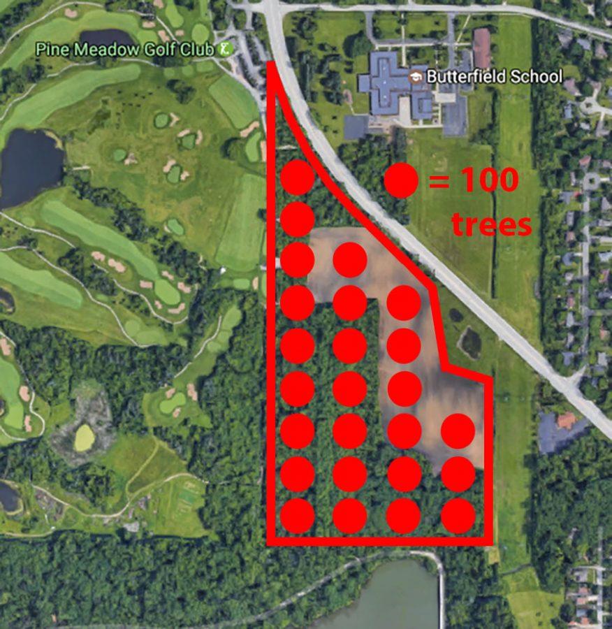 The red outlined area is the 40-acre land that has been cleared. According to the Daily Herald, 2,500 trees were estimated to be torn down on this land. The majority of the trees removed were from an old nursery. 
Photo courtesy of Google Earth

