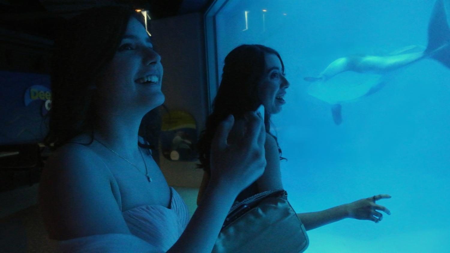 Two prom attendees gaze at the dolphins in the underwater viewing tank in the Waters of the World exhibit.