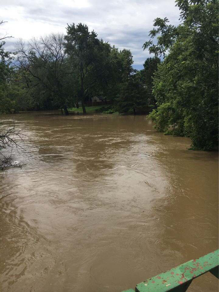 The Des Plaines River overflowed from the heavy rainfall, which caused the water levels to rise to the height of small trees and even some bridges surrounding the area.