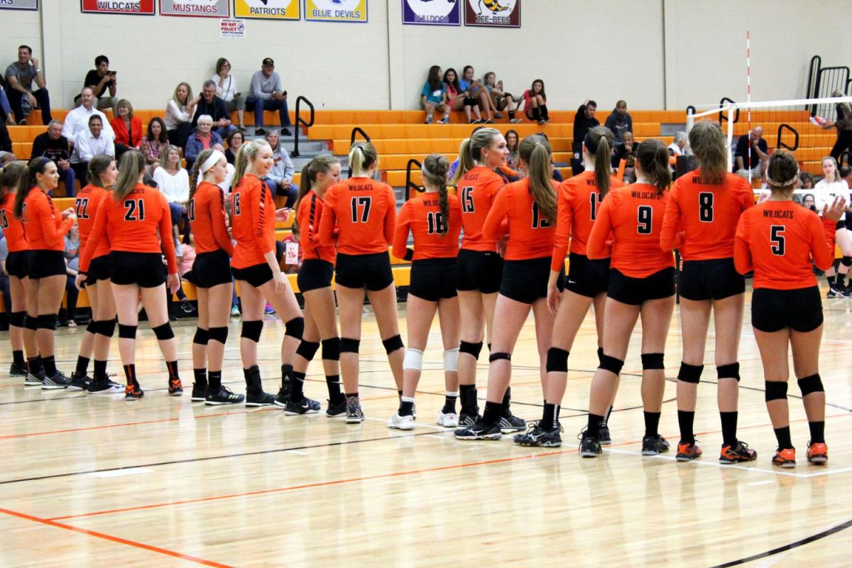 Girls volleyball team loses against Stevenson