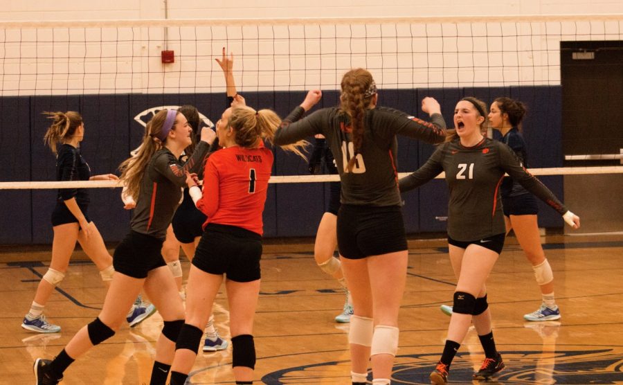 The Cats celebrate staying alive after their close 26-24 victory at the end of the second set.