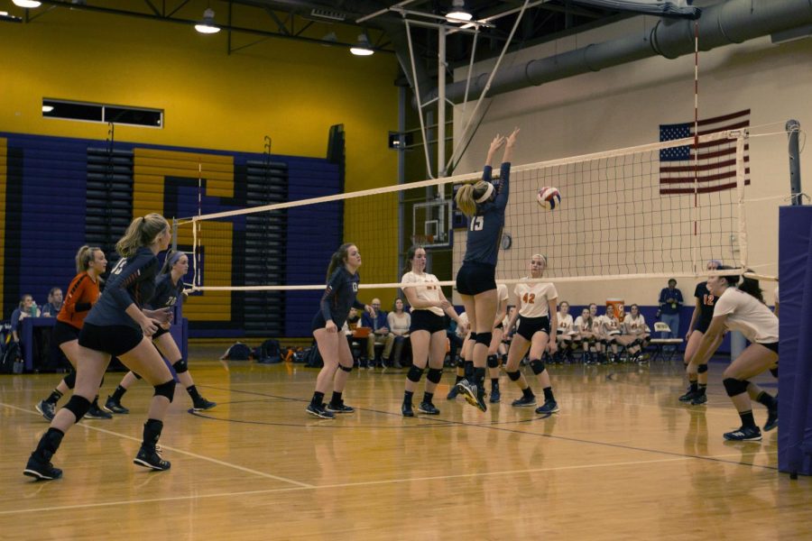 Crystal Lake Central reacts to a block from senior Madi OBrien.