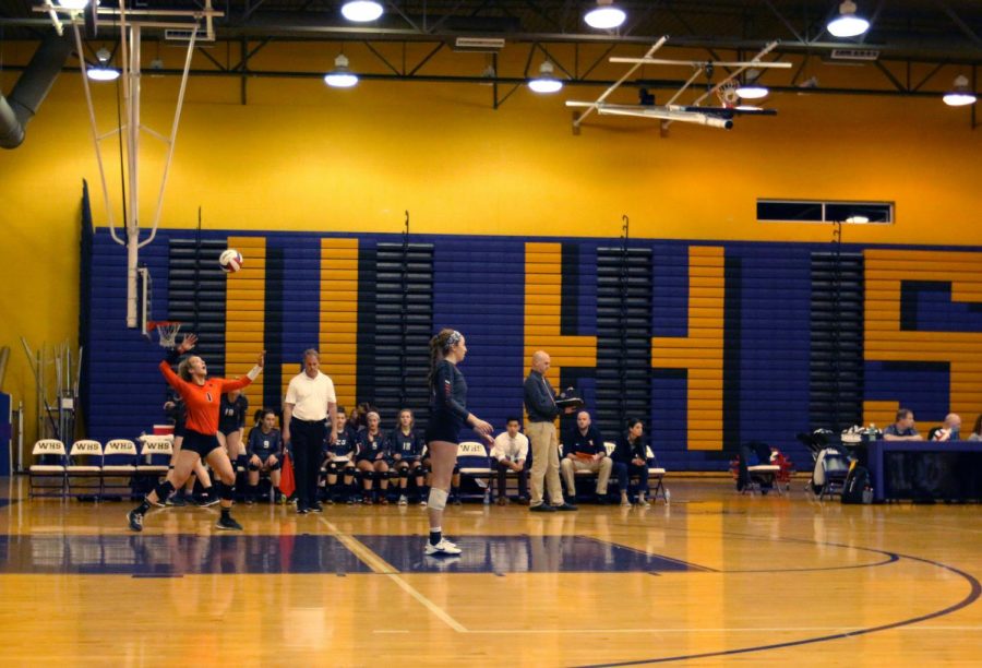 vball serve