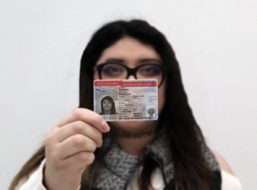 Danielle Navarro, a senior at LHS, is part of the Deferred Action for Childhood Arrivals (DACA) program. DACA protects children whose parents traveled to the United States undocumented. They can't be deported, and they can work and apply for college through DACA. Danielle has been protected by DACA since 2015 and recently sent a renewal request. But because of the stricter process under President Donald Trump, the request wasn't fulfilled, as a result of her attorney forgetting to add an "e" to Belize, the country Danielle is from, on the form. 
