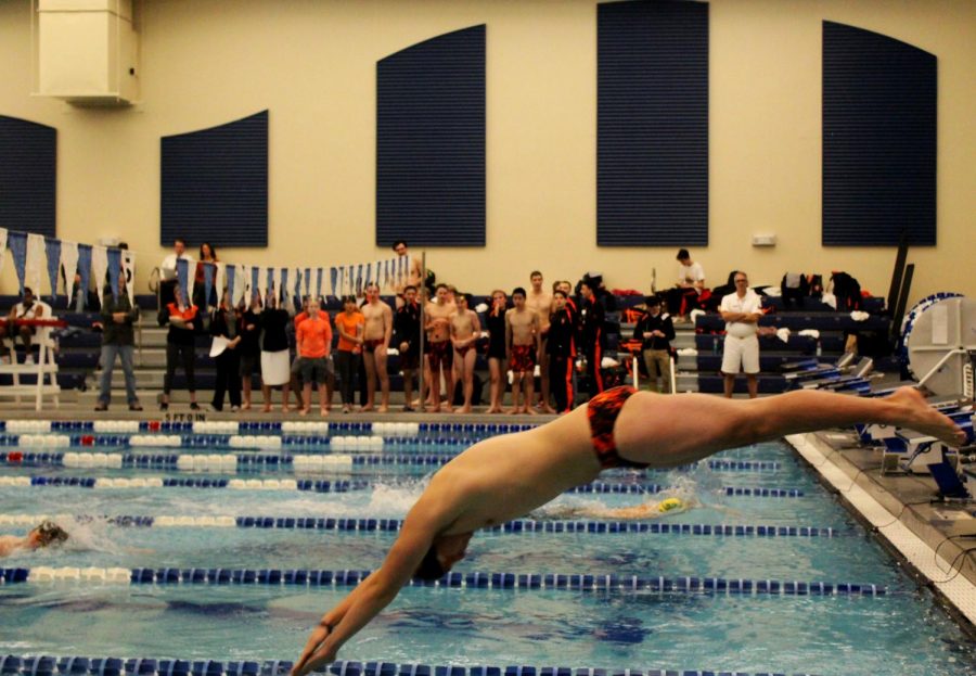 Junior Thomas Guiard competed in the 400-meter freestyle relay for the Wildcats. He started off with a swift dive into the pool.