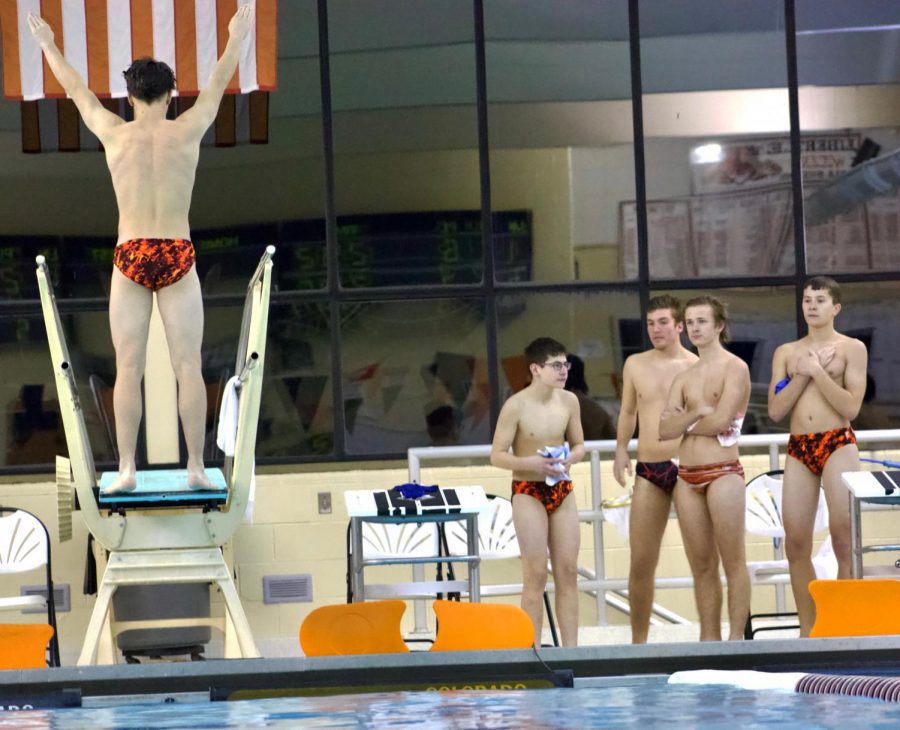 Libertyville sophomore Cam Edmunds prepares for his first dive of the night, a back dive with a difficulty level of 1.6. 