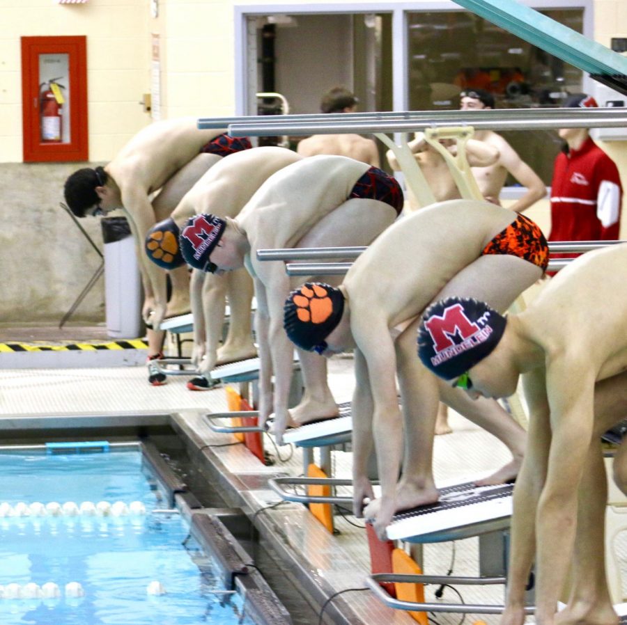 Libertyville and Mundelein swimmers take to the starting blocks, awaiting the sound of the horn that will send them diving into the water.