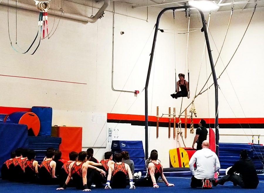 Teammates cheer on senior Patrick Tanksi during his L-Sit on the rings. 
