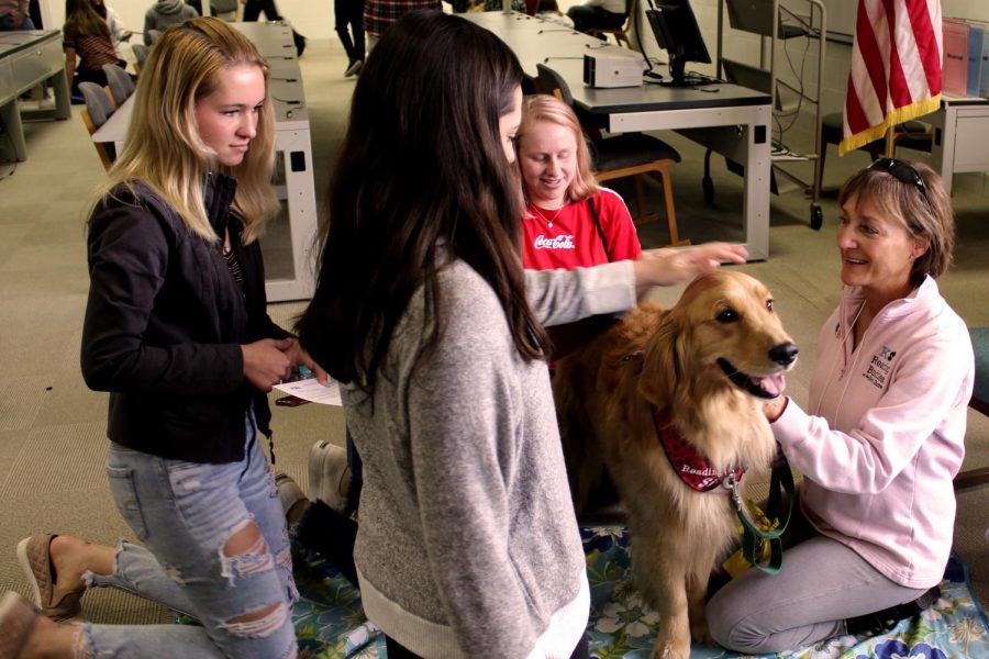 A popular health fair station among the students was the therapy dogs. The therapy dogs help students to be calmer, less stressed and more relaxed. They also can have physical benefits like pain management and reducing blood pressure.