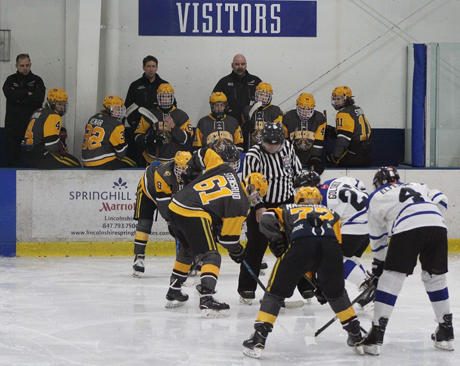 Going in for a faceoff in front of the Carmel bench, Sean Goldberg looks to gain the lead back for the Cats.