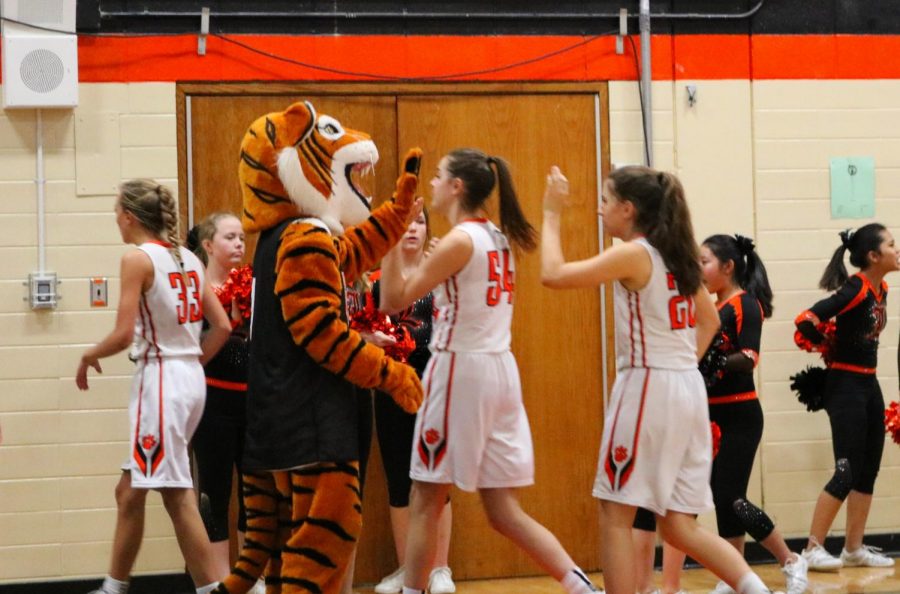 Willy the Wildcat high-fives the team as they retreat to the locker room during halftime, the score 28-21 Libertyville