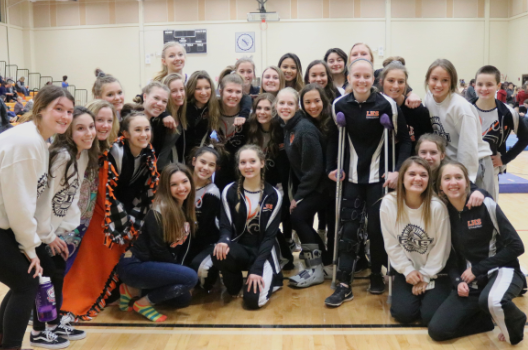 The Libertyville High School varsity gymnastics team placed fifth at the 2019 North Suburban Conference championship meet.