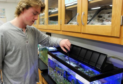 Fish tanks in Mrs. Kahn's room were previously used for a project to examine how different elements of an ecosystem affect each other. 