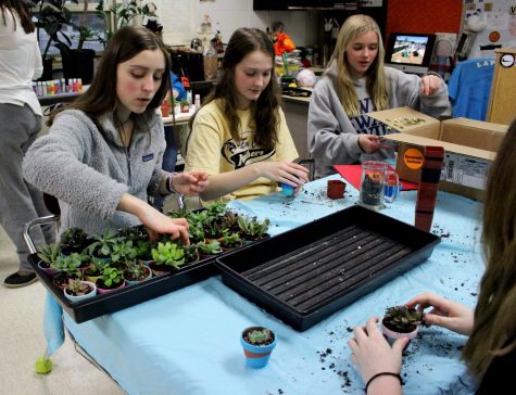 LEAF promotes and encourages the LHS community to be more environmentally aware. The club does a lot of fundraising for taking care of the courtyards and fixing them.