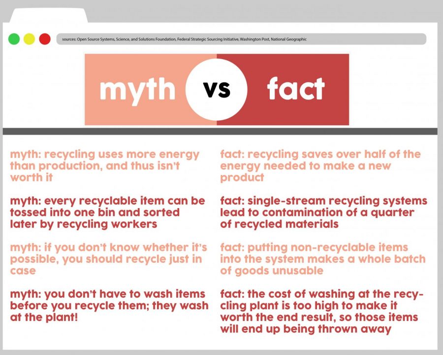 Recycling: the Truths Behind the Misconceptions