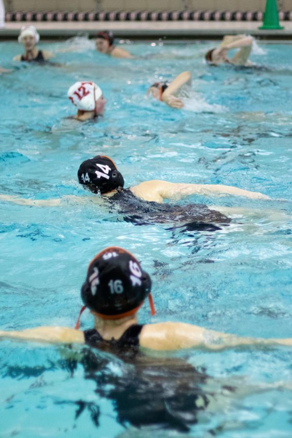 After conceding a goal, the Cats look to regain their momentum.