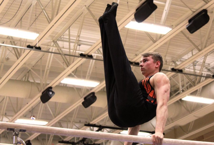 Ranked first in state prior to sectionals, the LHS boys gymnastics team has had great success this season, they competed in the state competition on May 10th-11th. (scores pending)