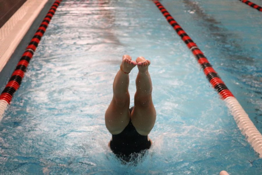 A Libertyville swimmer launches into the water during free swim.