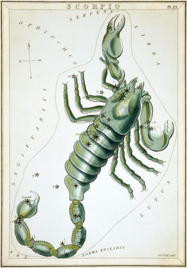 Scorpio