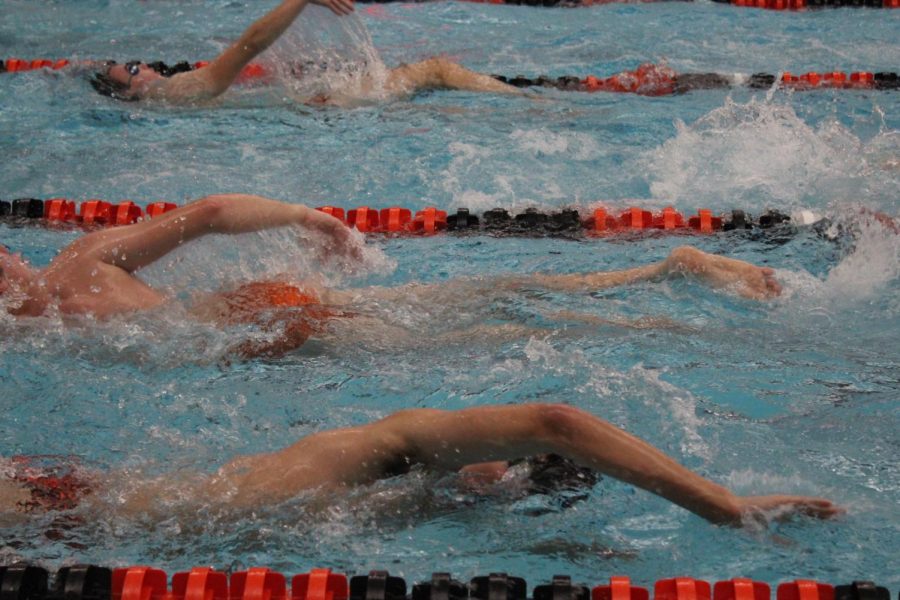 Libertyville swimmers take warm-up time to work their freestyle and backstrokes.