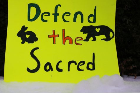 Common signs used for the Standing Rock protests include the phrases “Defend The Sacred,” “Water Is Life” and symbols of animals and indigenous people, all of which the protesters wish to make a stand for.