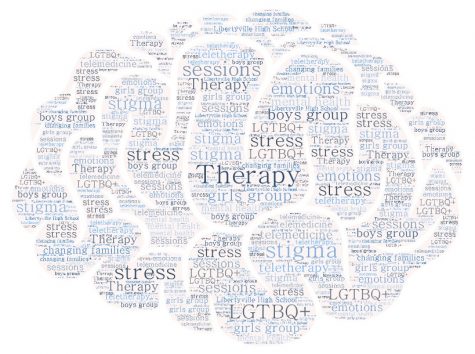 Therapy Inside and Outside of LHS