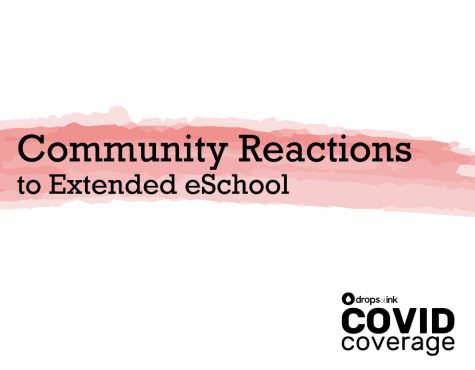 Community Reactions to Extended eSchool
