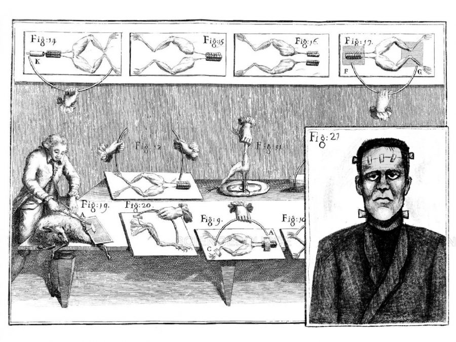 The well-known story of Frankenstein was deeply influenced by the science experiments in the early 1800s that tested muscle movements from electricity. The background image above depicts Luigi Galvani’s frog muscle experiment and its similarity to Frankenstein’s creation.
