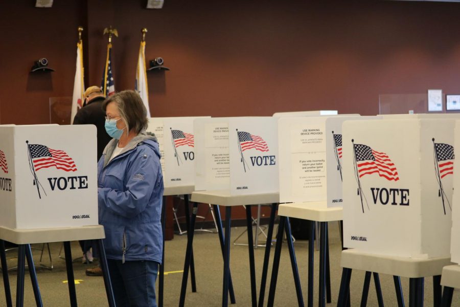 First-Time Voters Take Advantage of Their Voice