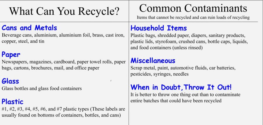 Recycling Infographic