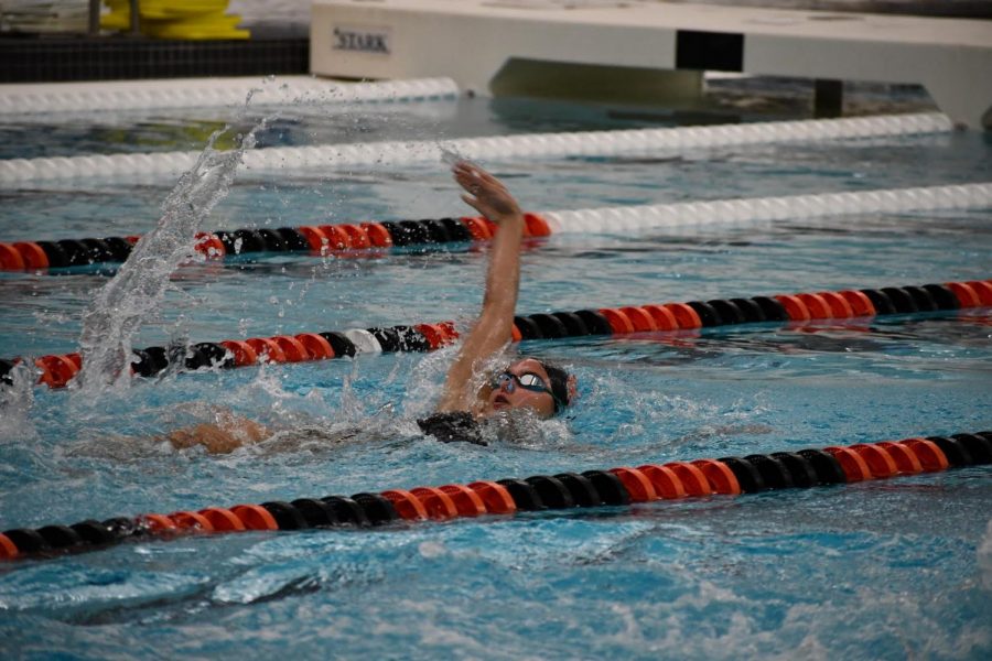 Sofija Tijunelis (10) charges to the finish in the 100 backstroke for a time of 59.05. Tijunelis headed off the record breaking 200 medley relay with backstroke earlier in the meet. (photo courtesy of Al Cowsky)