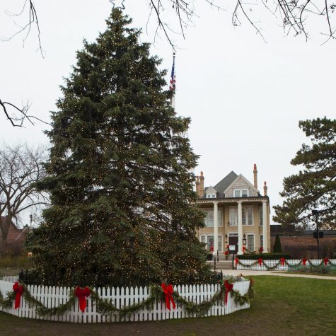 (Photo provided by Mainstreet Libertyville) In the heart of downtown Libertyville, a large tree is decorated with lights and garlands to celebrate the holiday season.