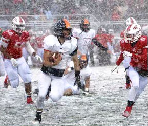 Lees led the Wildcats to the 7A State Semifinal in 2014 and the State Final Game in 2015. During his high school career, Lees passed for 2,989 yards and 38 touchdowns, while rushing for 4,437 yards and 68 touchdowns. He has now returned to Libertyville as an assistant coach for the varsity football team.