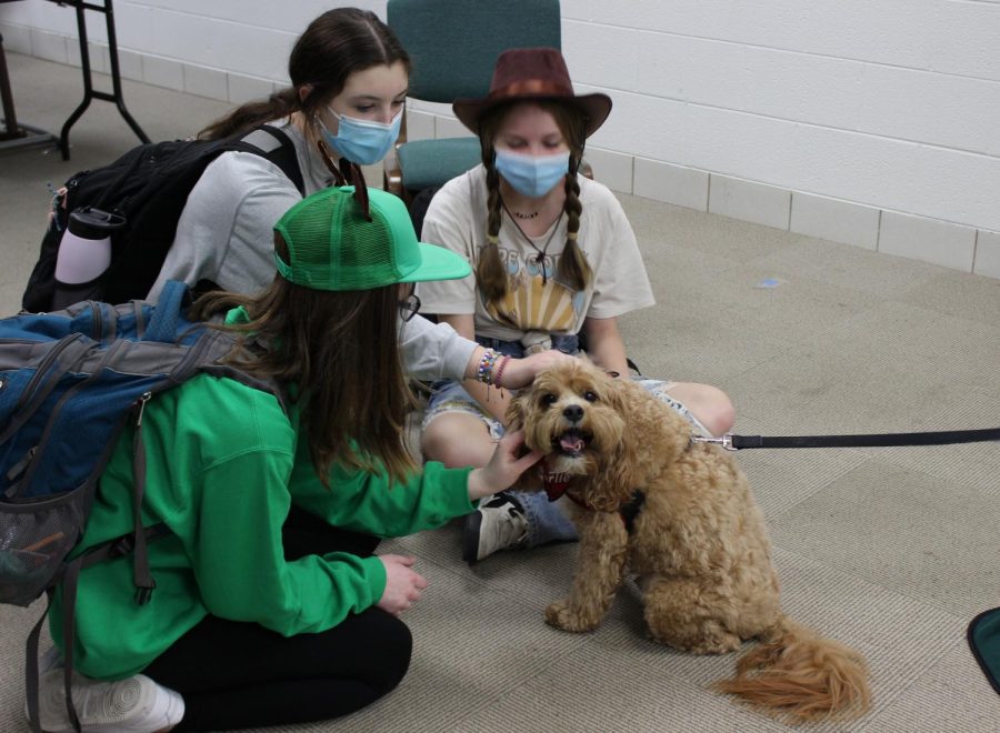 Students relax as they interact with therapy dogs brought to the health fair to help students feel more calm.