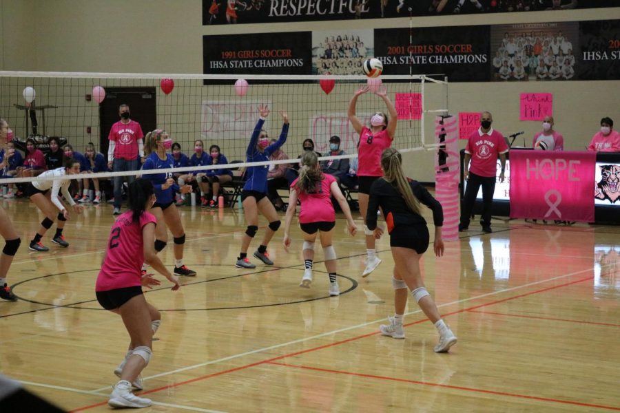 Pictured: Left to right: Ella Stuteville (2), Ashley Bradford, Grace Bonjour (8), Grace Comilla (in black).