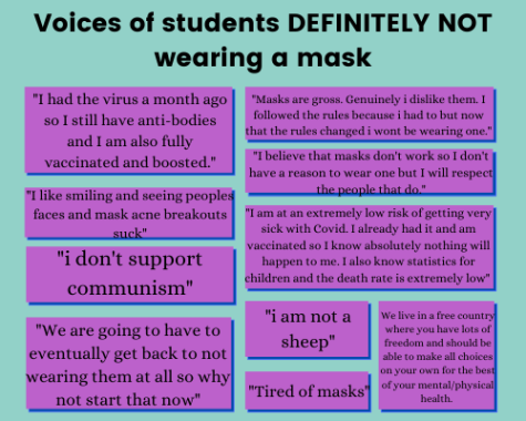 Students were given the option to elaborate on what factors affected their decision to wear a mask or not. 22.5% of those surveyed chose to "Definitely not" wear a mask.