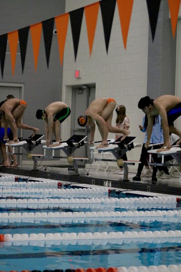 The Bulldog and Wildcats prepare to start the Varsity 50-yard freestyle.